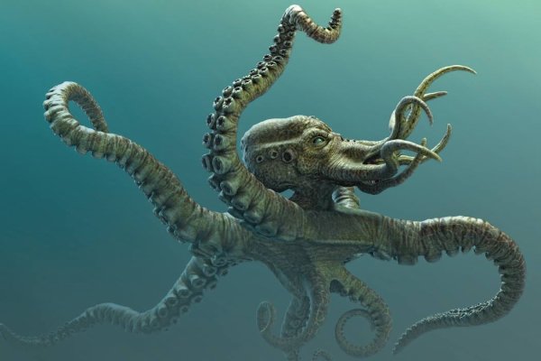 Kraken зеркало тор